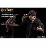 Harry Potter and the Sorcerers Stone Harry Potter 1/6 Scale Action Figure - Radar Toys