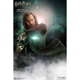Harry Potter Order of the Phoenix Sirius Black 1/6 Scale Action Figure - Radar Toys