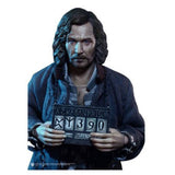 Harry Potter Prisoner Of Azkaban Sirius Black Prisoner 1/6 Scale Action Figure - Radar Toys