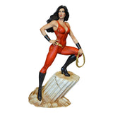 Tweeterhead DC Super Powers Collection Donna Troy Maquette Statue - Radar Toys