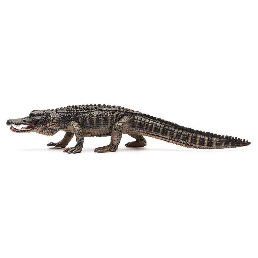 CollectA American Alligator Animal Figure 88609