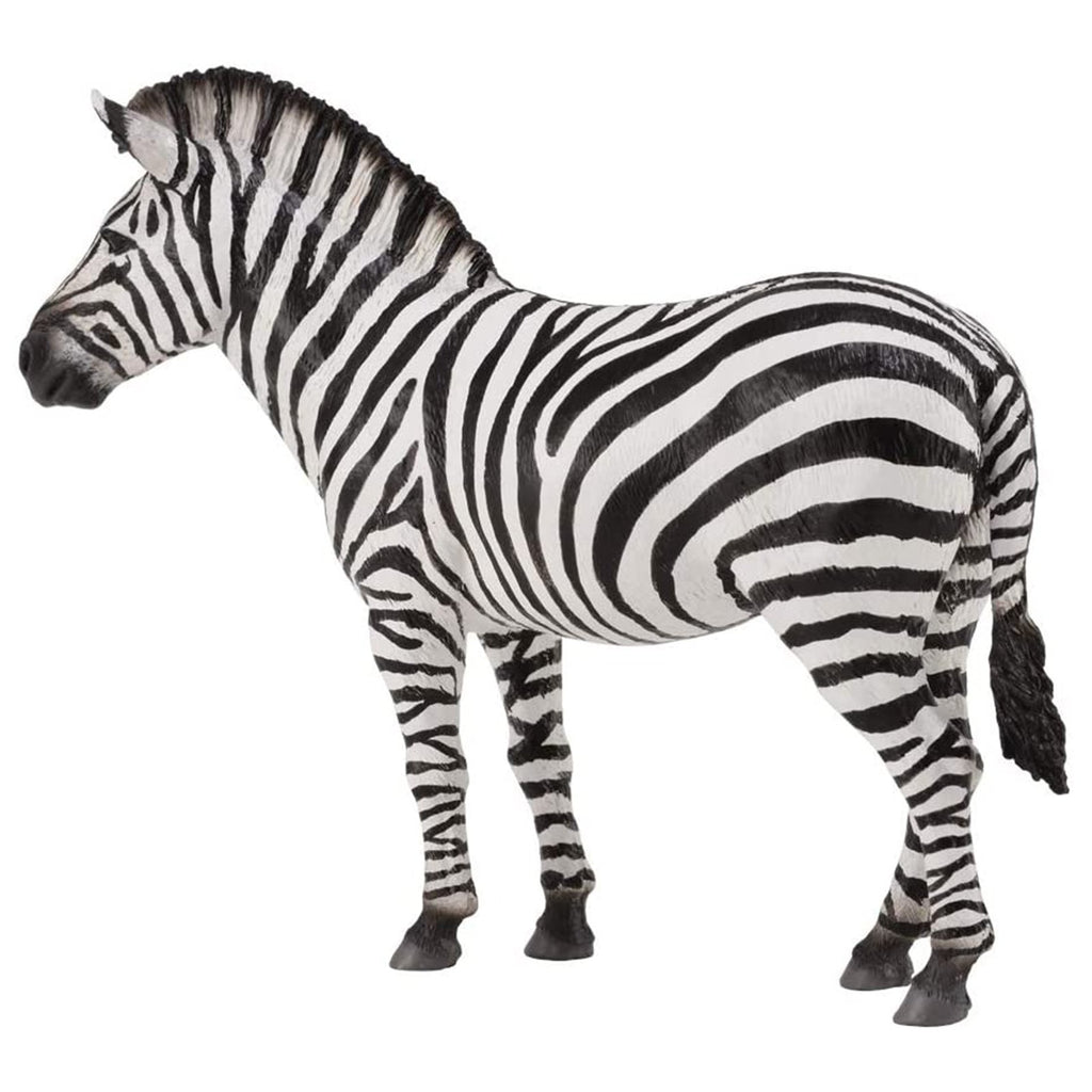 CollectA Common Zebra Animal Figure 88830 - Radar Toys