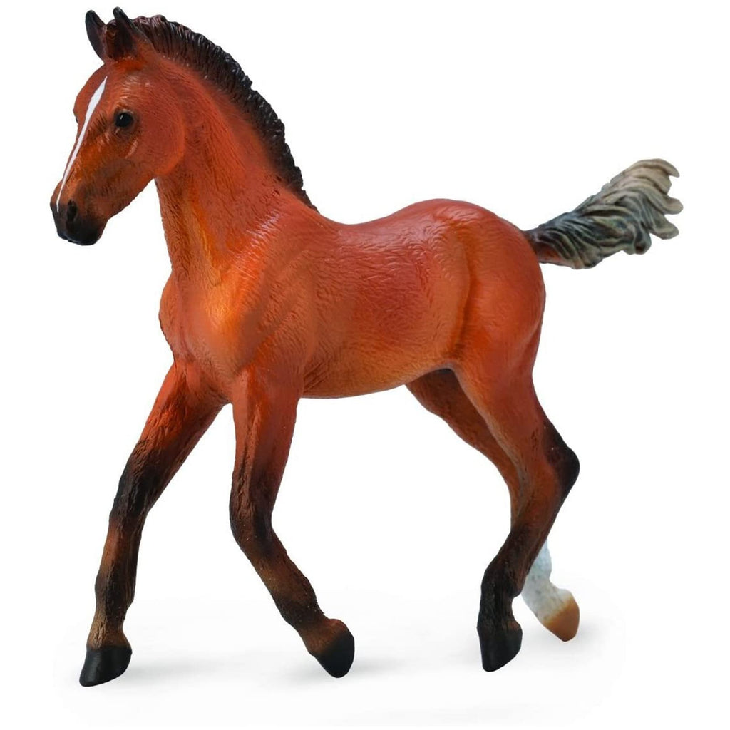 CollectA Hanoverian Foal Horse Figure 88734 - Radar Toys