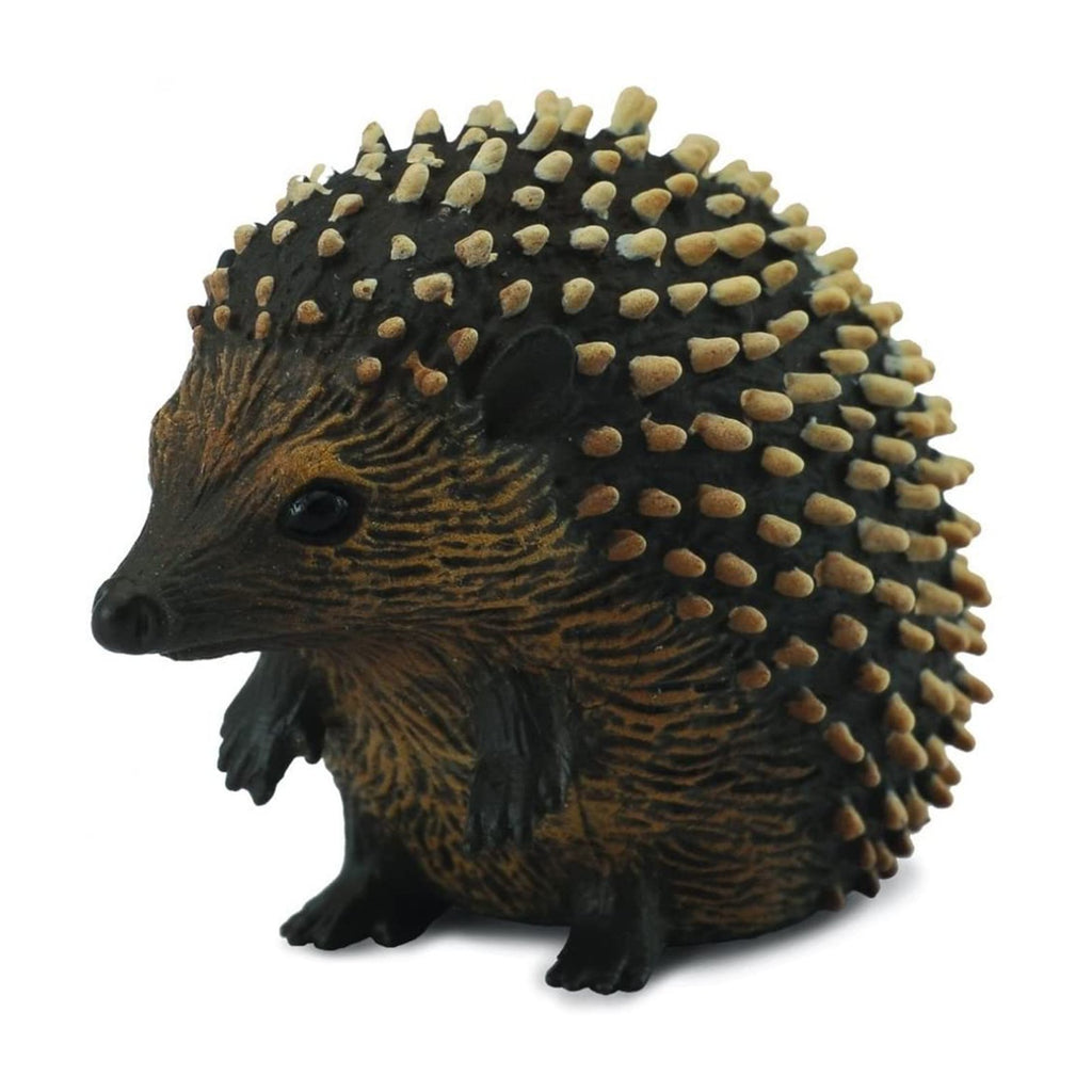 CollectA Hedgehog Animal Figure 88458 - Radar Toys