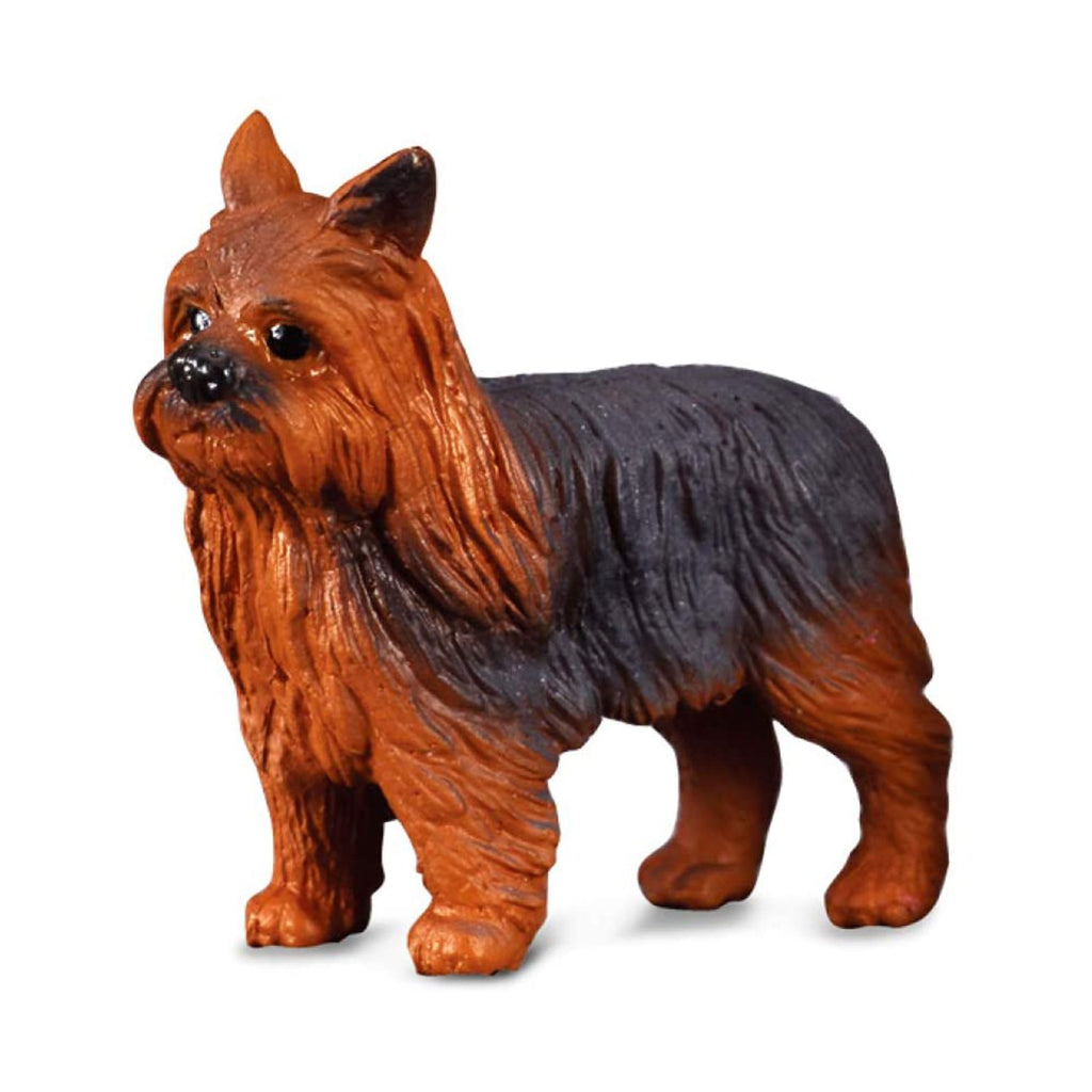 CollectA Yorkshire Terrier Dog Animal Figure 88078