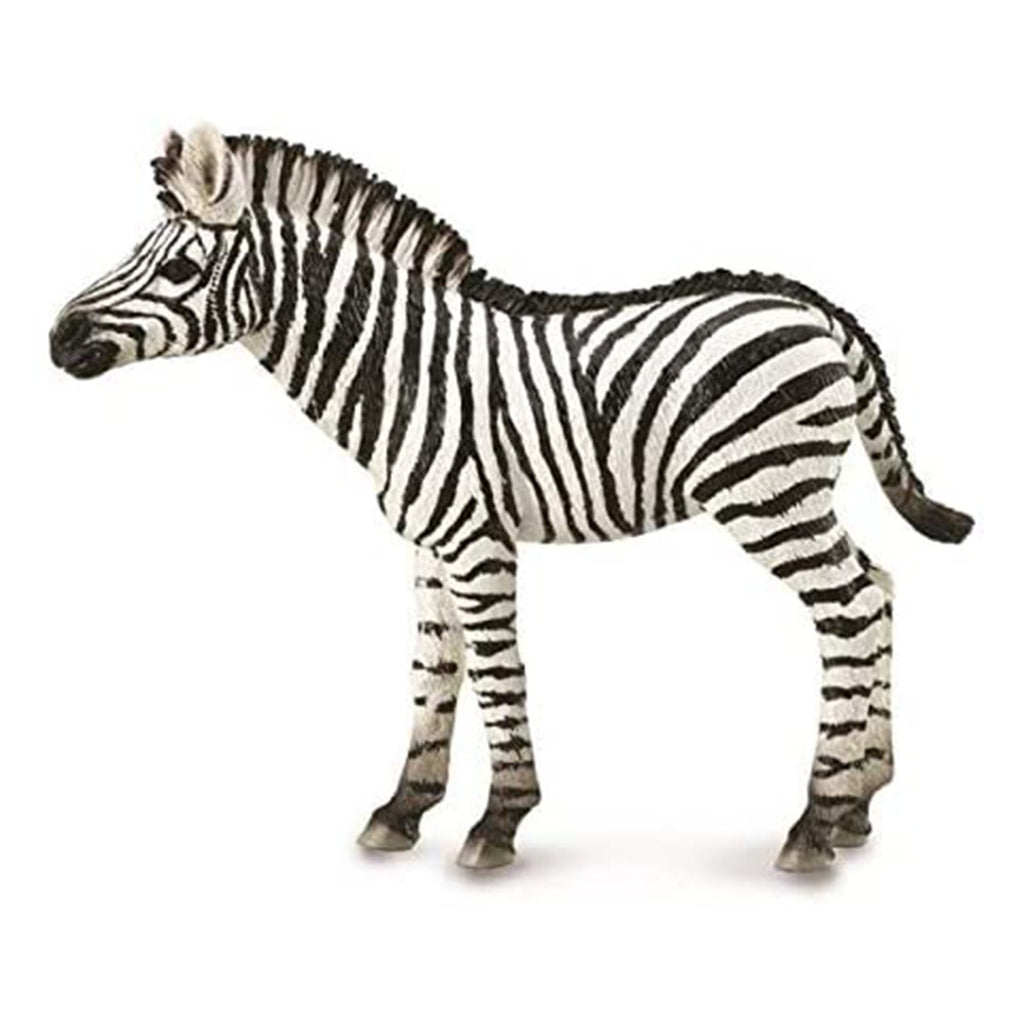 CollectA Zebra Foal Animal Figure 88850 - Radar Toys