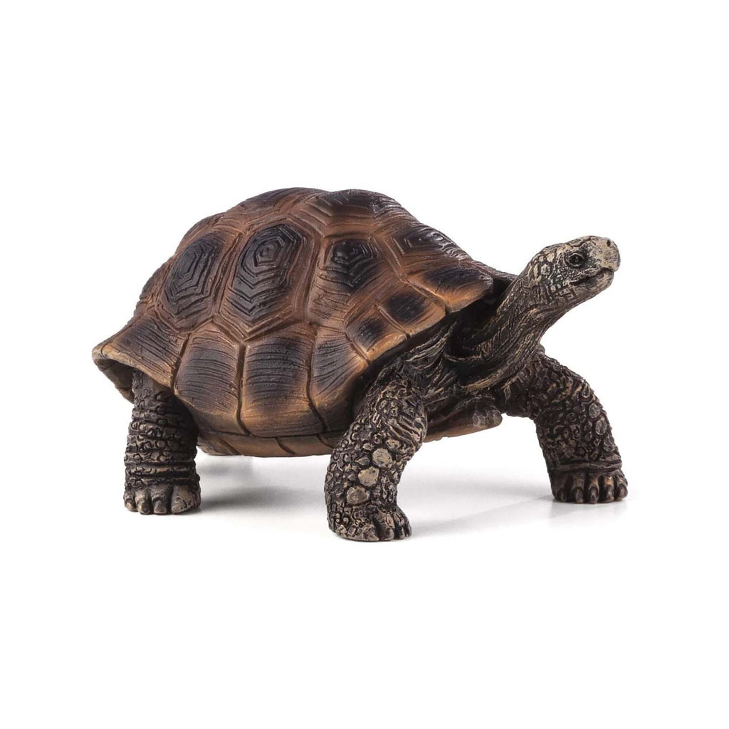 MOJO Giant Tortoise Animal Figure 387259 - Radar Toys
