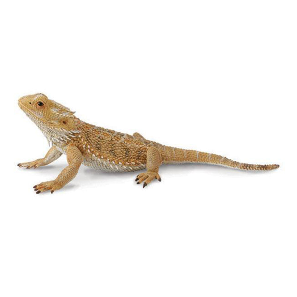 CollectA Bearded Dragon Lizard Animal Figure 88567 - Radar Toys