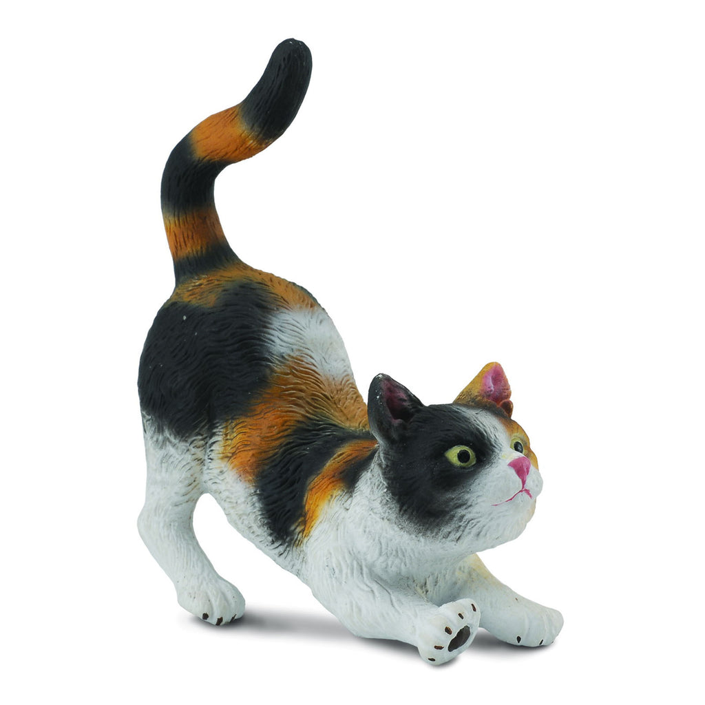 CollectA 3 Colour House Cat Stretching Figure 88491 - Radar Toys