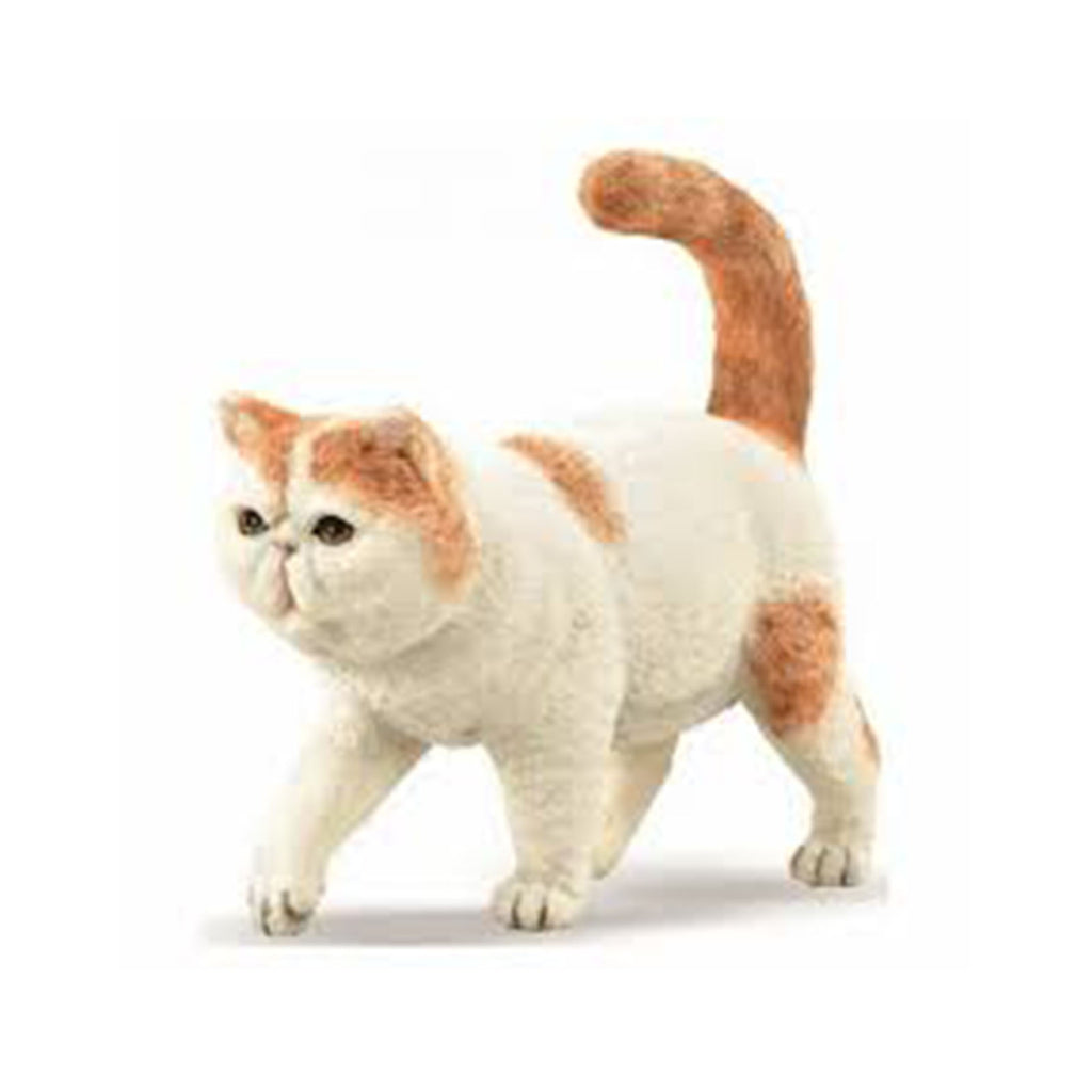 CollectA Exotic Shorthair Cat Figure 88937