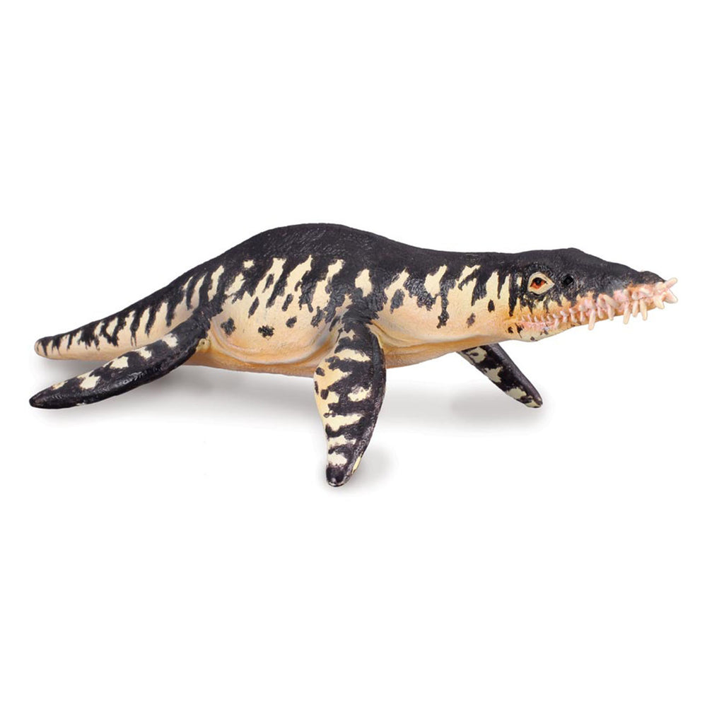 CollectA Liopleurodon Dinosaur Figure 88237