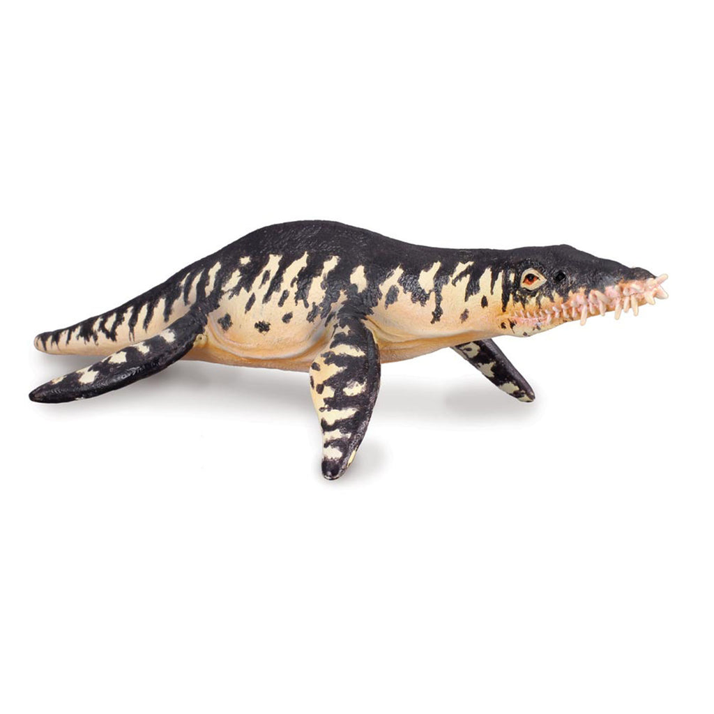 CollectA Liopleurodon Dinosaur Figure 88237 - Radar Toys