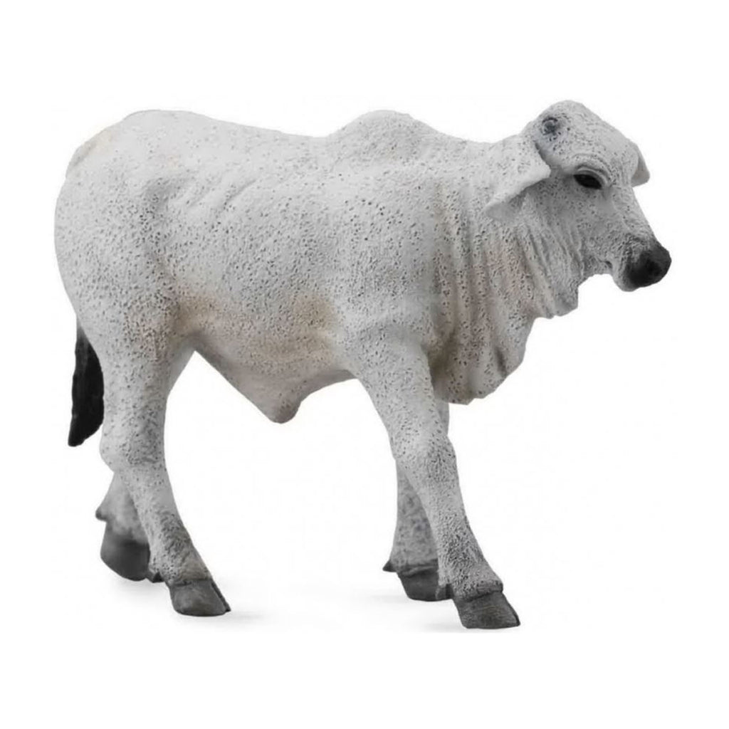 CollectA Brahman Calf Animal Figure 88581