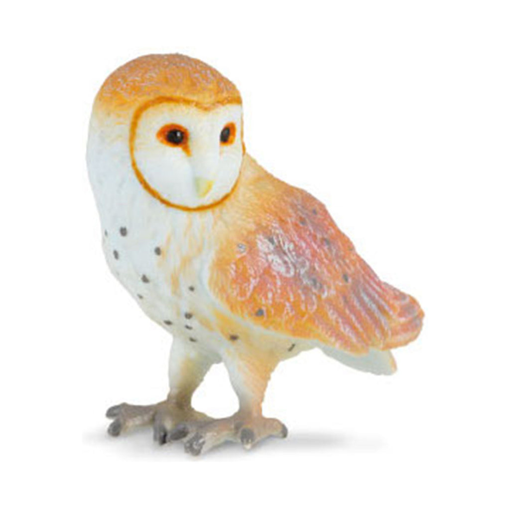 CollectA Barn Owl Animal Figure 88003 - Radar Toys