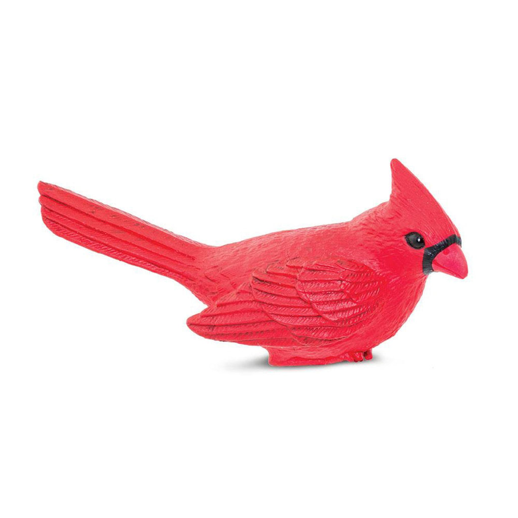 Cardinal Bird Animal Figure Safari Ltd 100215