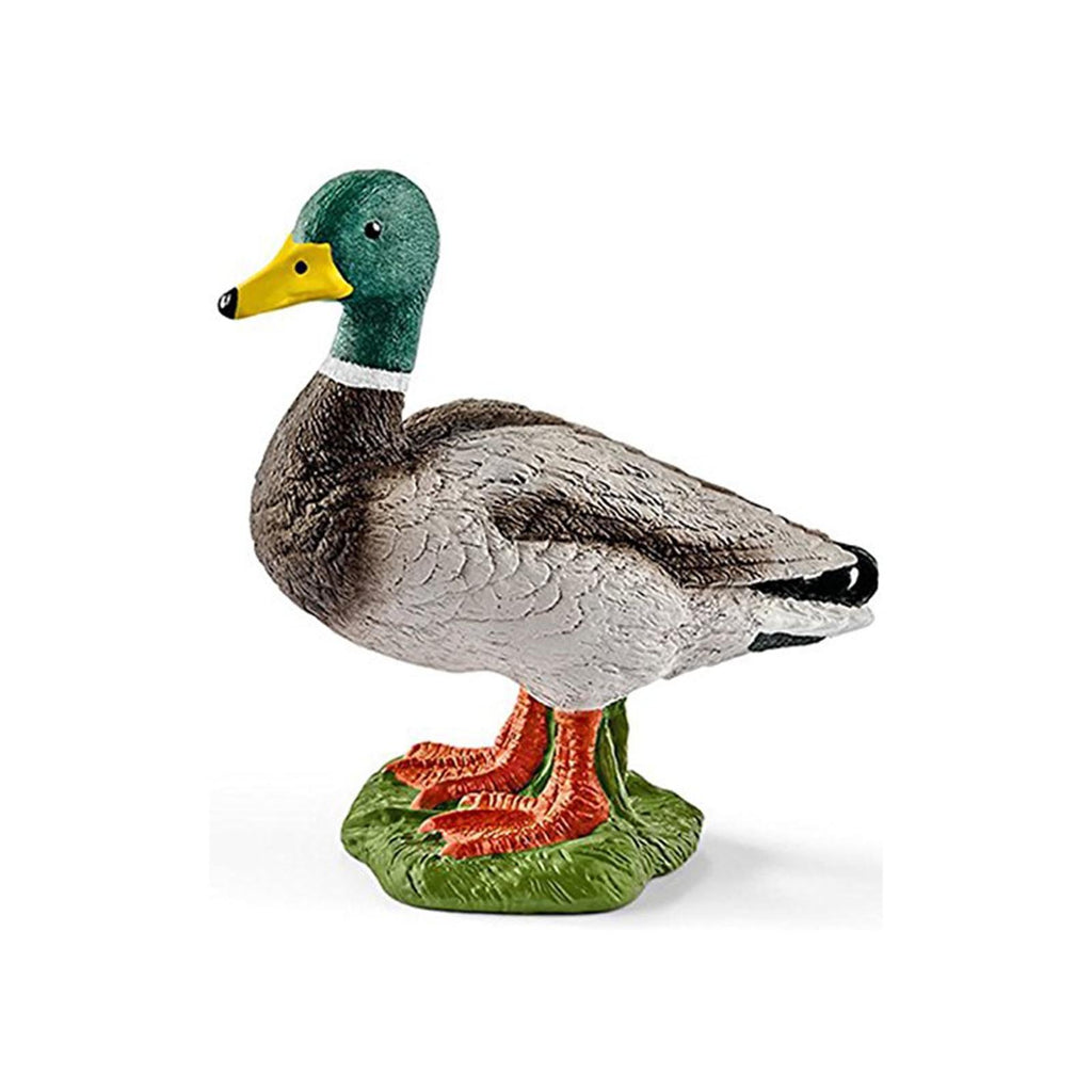 Schleich Drake Duck Animal Figure - Radar Toys