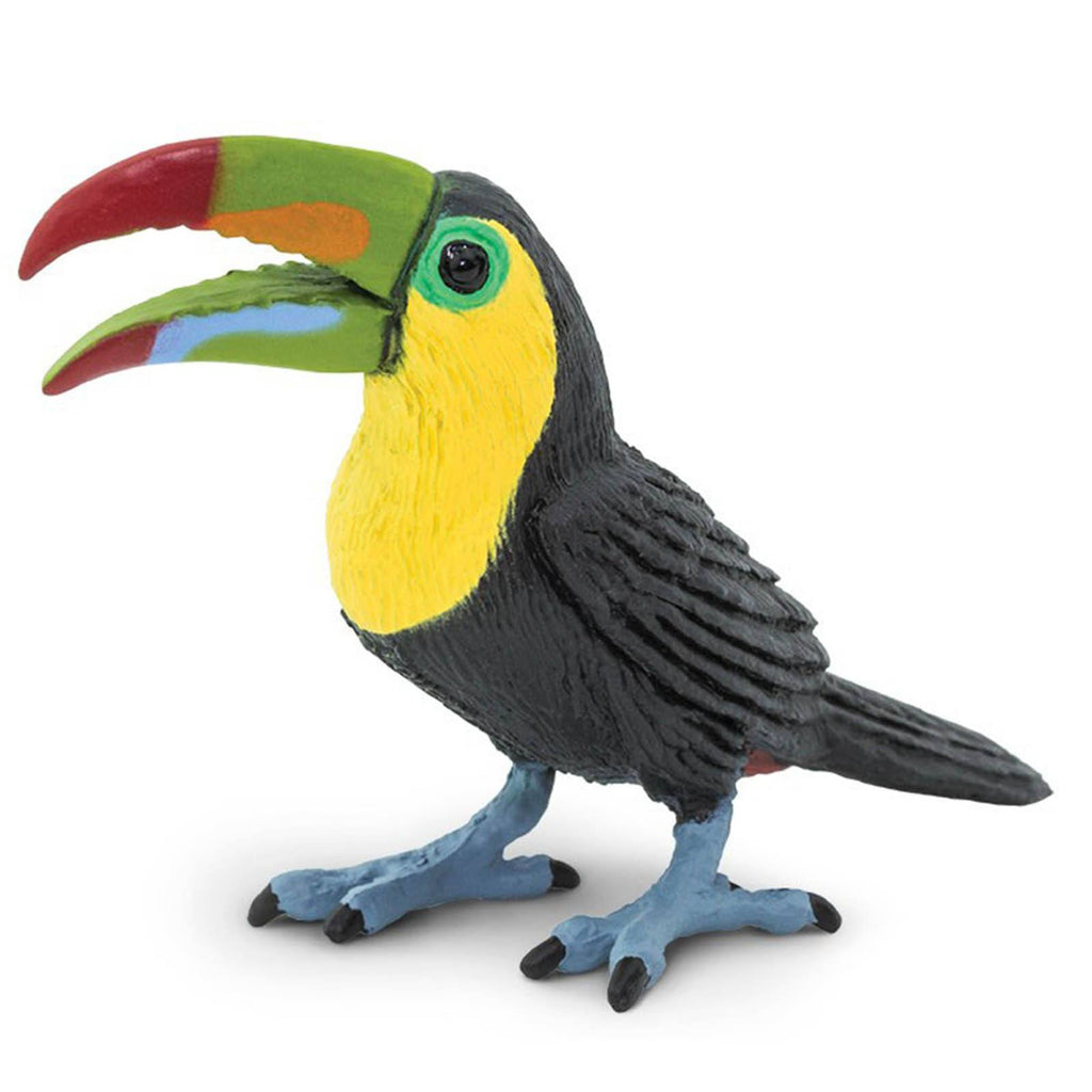 Toucan Wings Of The World Figure Safari Ltd