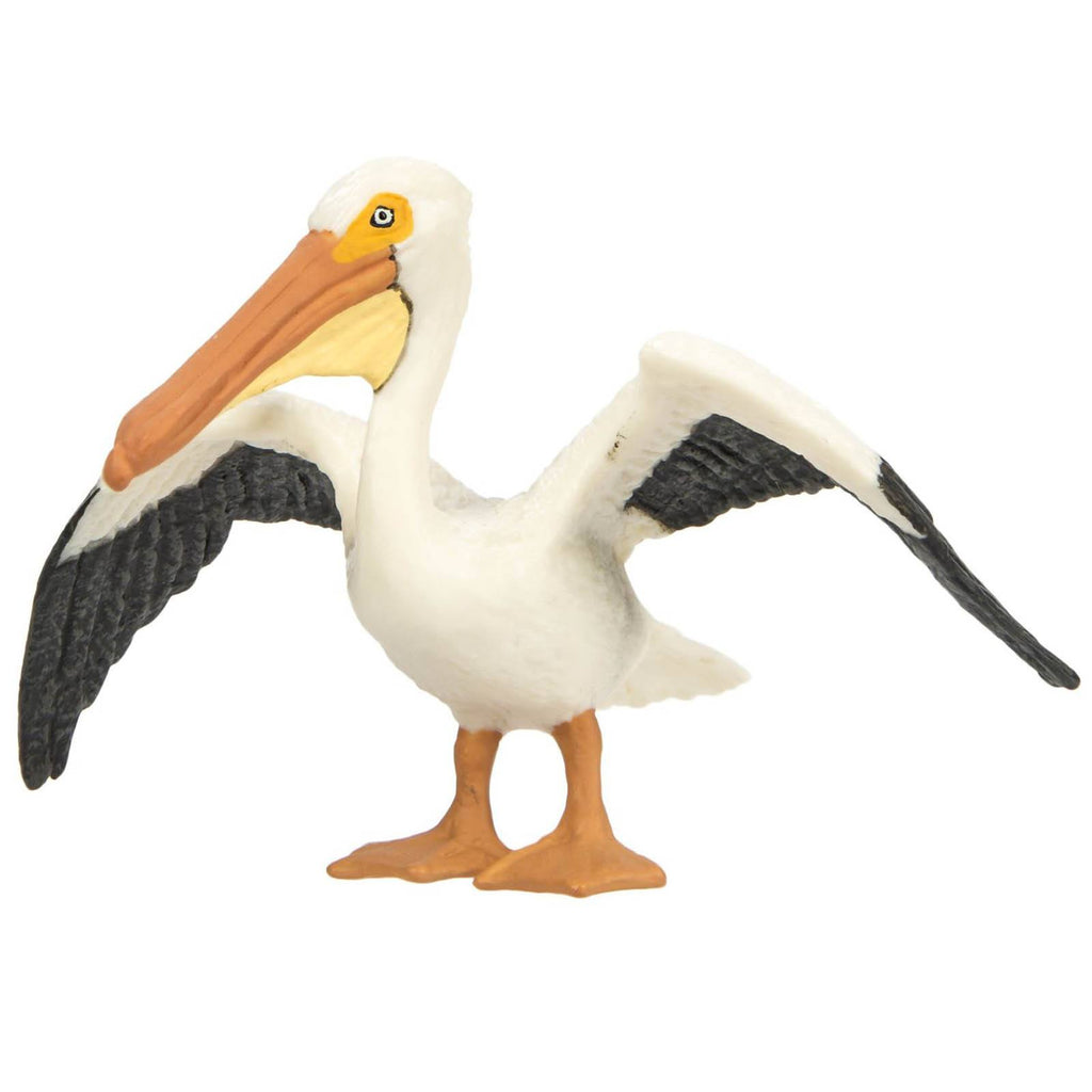 White Pelican Wings Of The World Birds Figure Safari Ltd