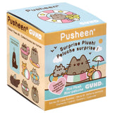 Gund Pusheen Series 10 Lazy Summer Blind Box Mini Plush Figure - Radar Toys