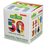 Sesame Street Anniversary Blind Box Mini Plush Figure - Radar Toys