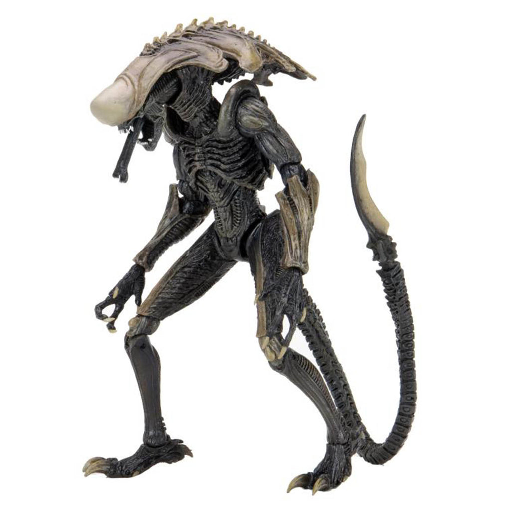 NECA Alien Vs Predator Chrysalis Alien Survival 7 Inch Figure
