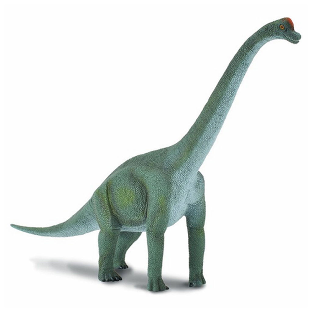 CollectA Brachiosaurus Dinosuar Figure 88121