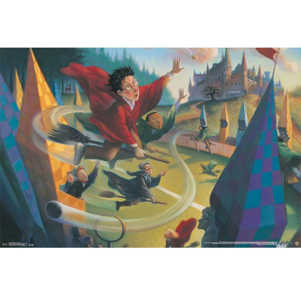 Harry Potter Quidditch Wall Poster