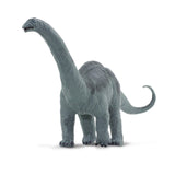 Apatosaurus Great Dinos Figure Safari Ltd - Radar Toys