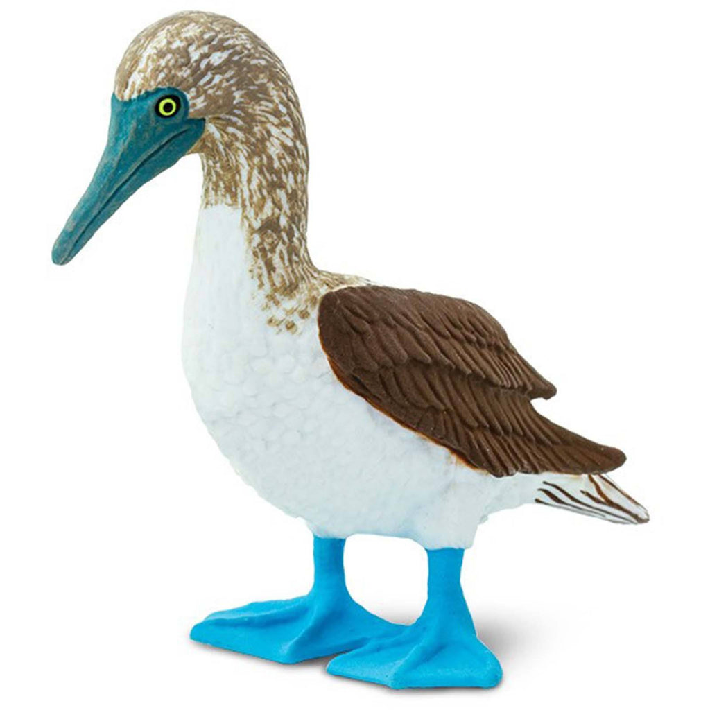 Blue Footed Booby Wild Safari Figure Safari Ltd
