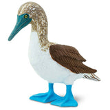 Blue Footed Booby Wild Safari Figure Safari Ltd - Radar Toys