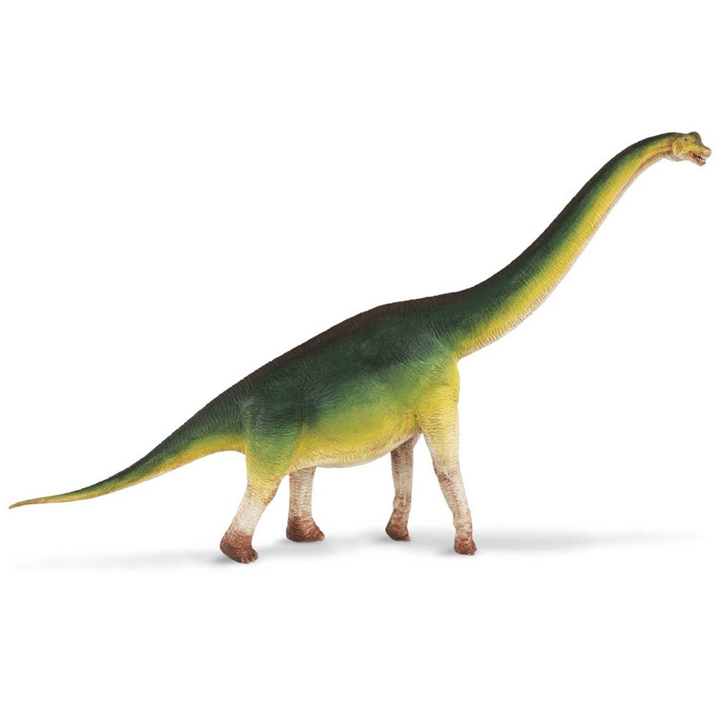 Brachiosaurus Brown Green Wild Safari Dinosaurs Figure Safari Ltd - Radar Toys