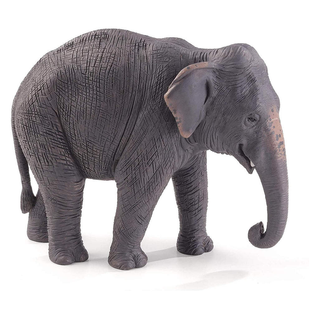 MOJO Asian Elephant Animal Figure 387266