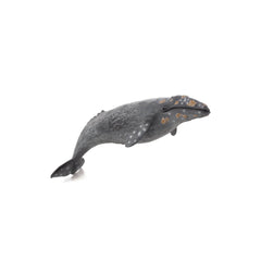 MOJO Grey Whale Animal Figure 387280 - Radar Toys