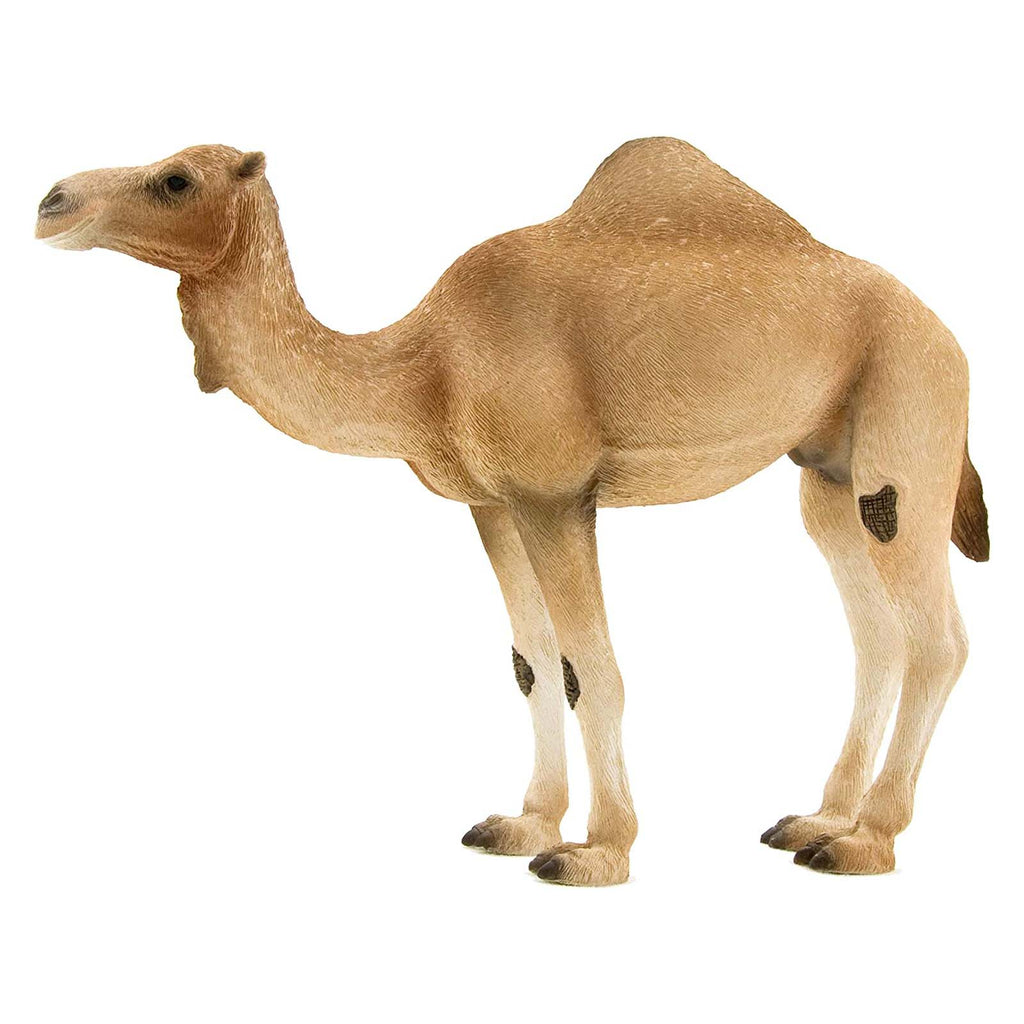 MOJO Arabian Camel Animal Figure 387113