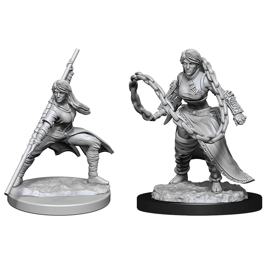 Dungeons And Dragons Female Human Monk Nolzur's Miniatures