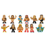 WWE Mystery Minis Vinyl Figure - Radar Toys