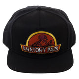 Rick And Morty Anatomy Snapback Hat - Radar Toys