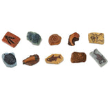 Ancient Fossils Bulk Bag Mini Figures Safari Ltd - Radar Toys