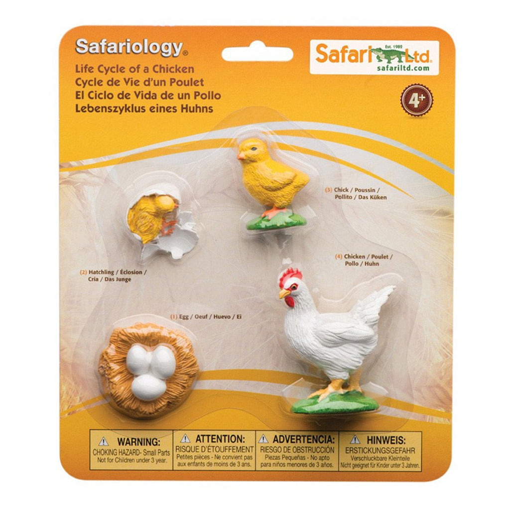 Life Cycle Of A Chicken Figures Safari Ltd - Radar Toys