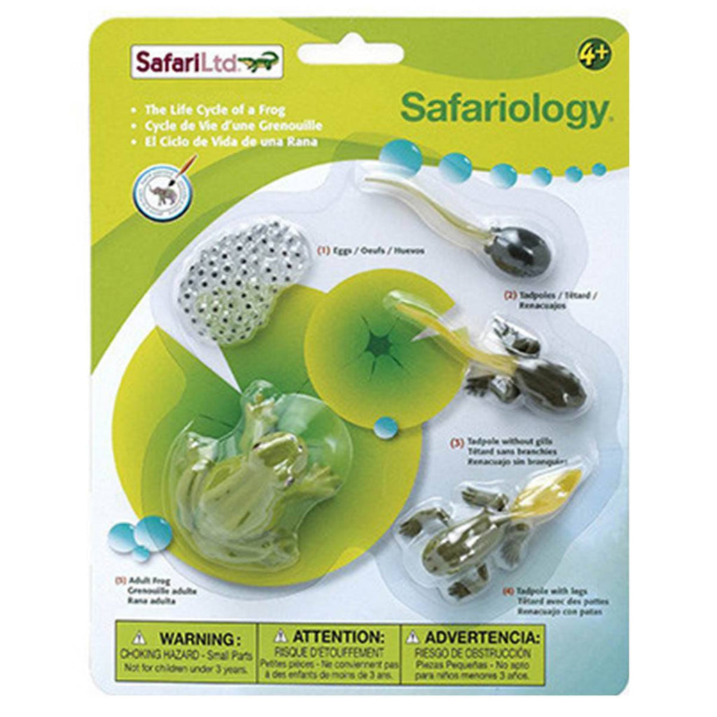 Life Cycle of a Frog Set Safari Ltd