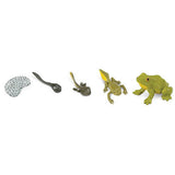Life Cycle of a Frog Set Safari Ltd - Radar Toys