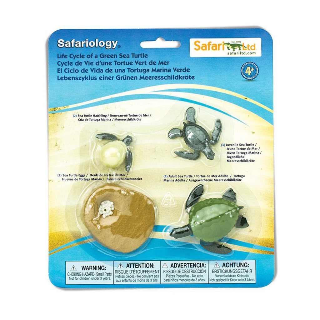 Life Cycle Of A Green Sea Turtle Safari Ltd - Radar Toys
