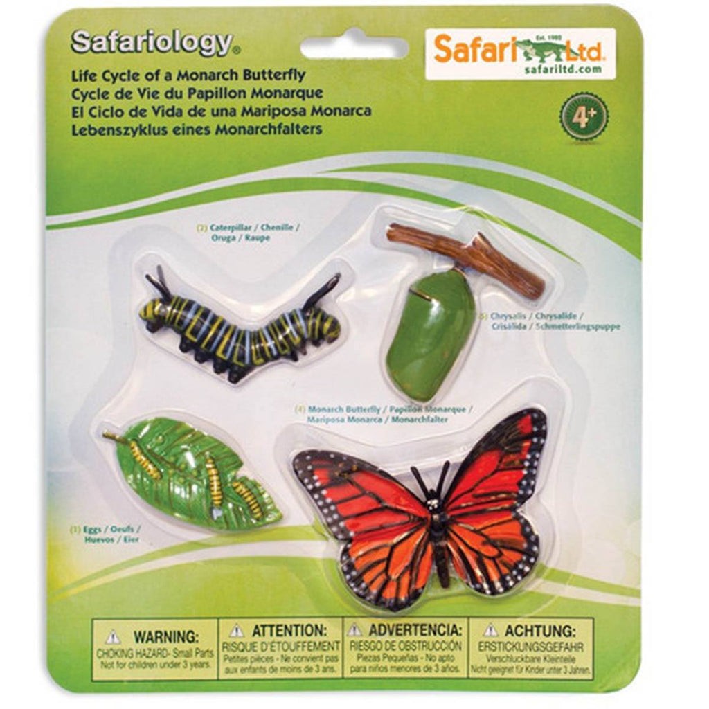 Life Cycle Of A Monarch Butterfly Safari Ltd - Radar Toys