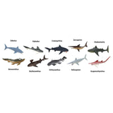 Prehistoric Sharks Toob Mini Figures Safari Ltd - Radar Toys