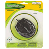 Trilobite Ancient Fossils Safariology Safari Ltd - Radar Toys