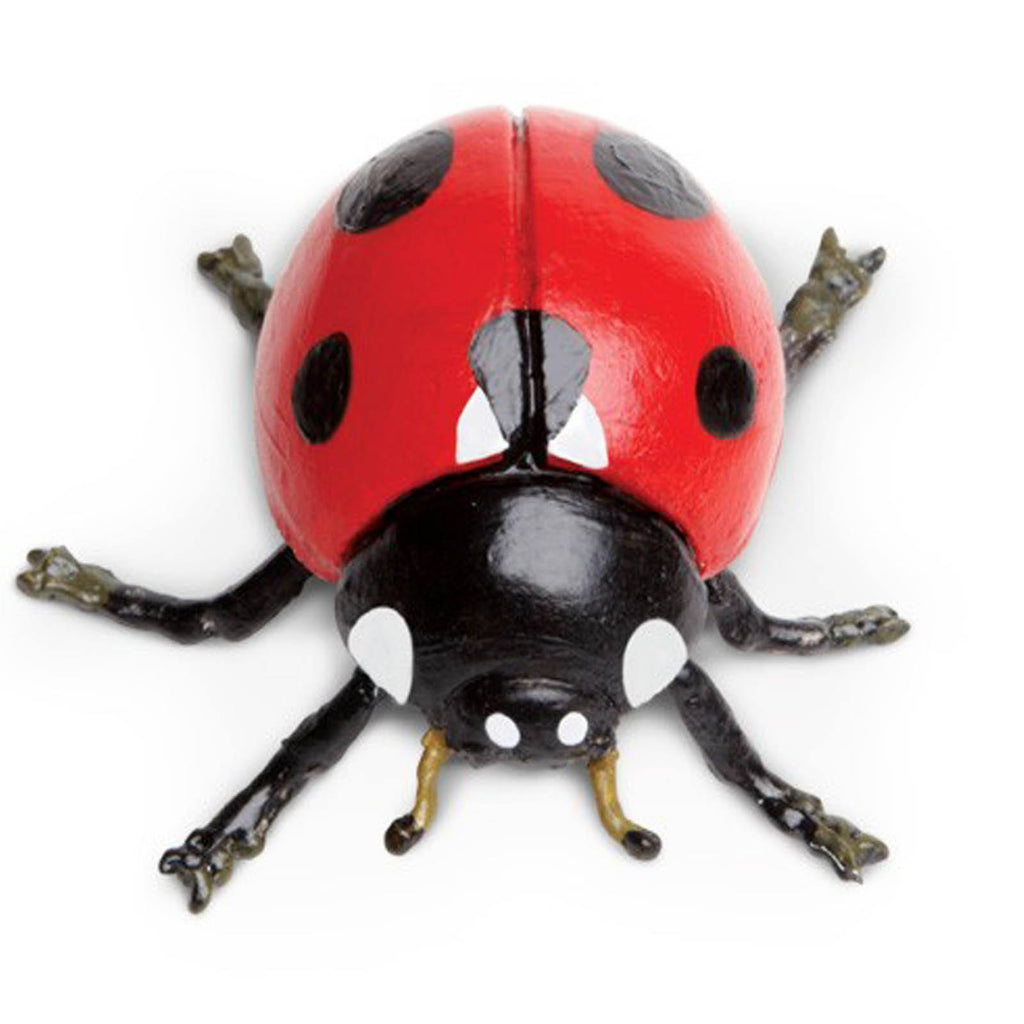 Ladybug Hidden Kingdom Figure Safari Ltd - Radar Toys