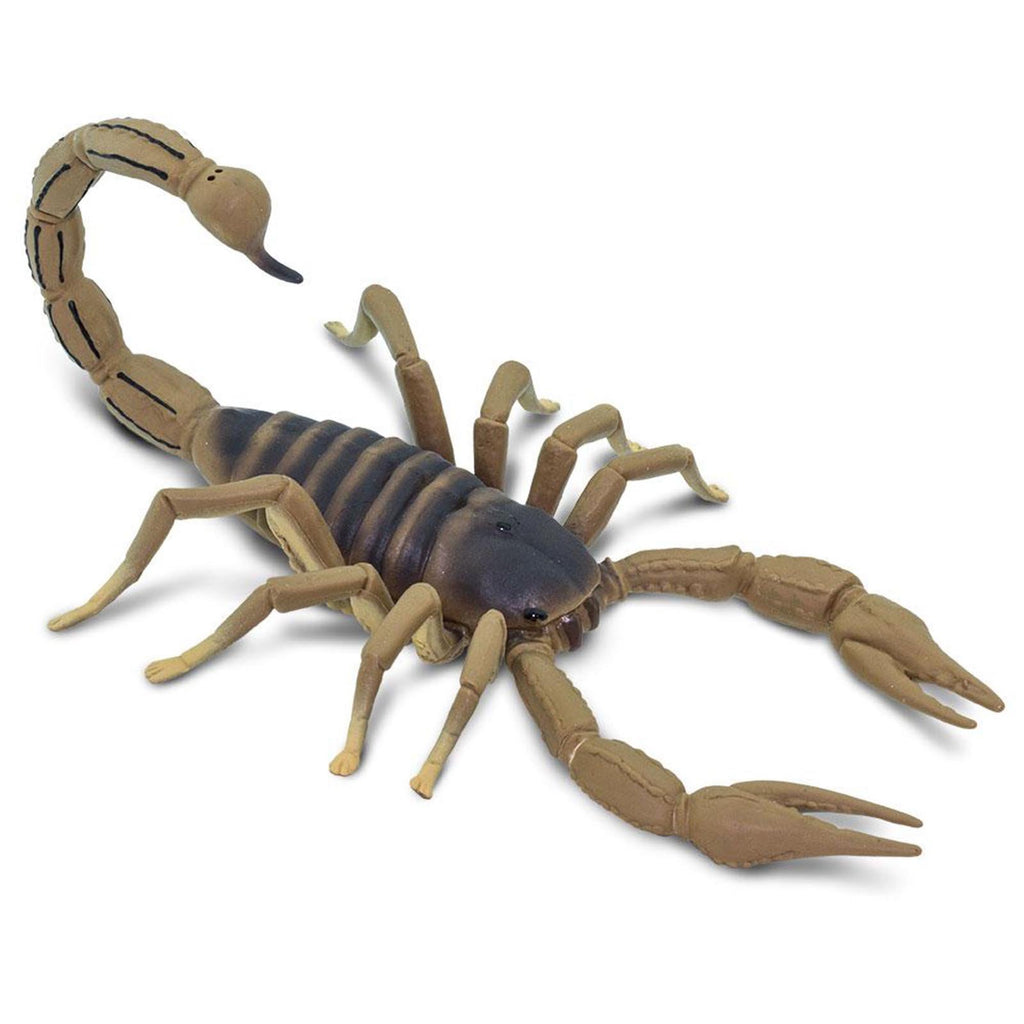 Scorpion Animal Figure Safari Ltd 100260 - Radar Toys