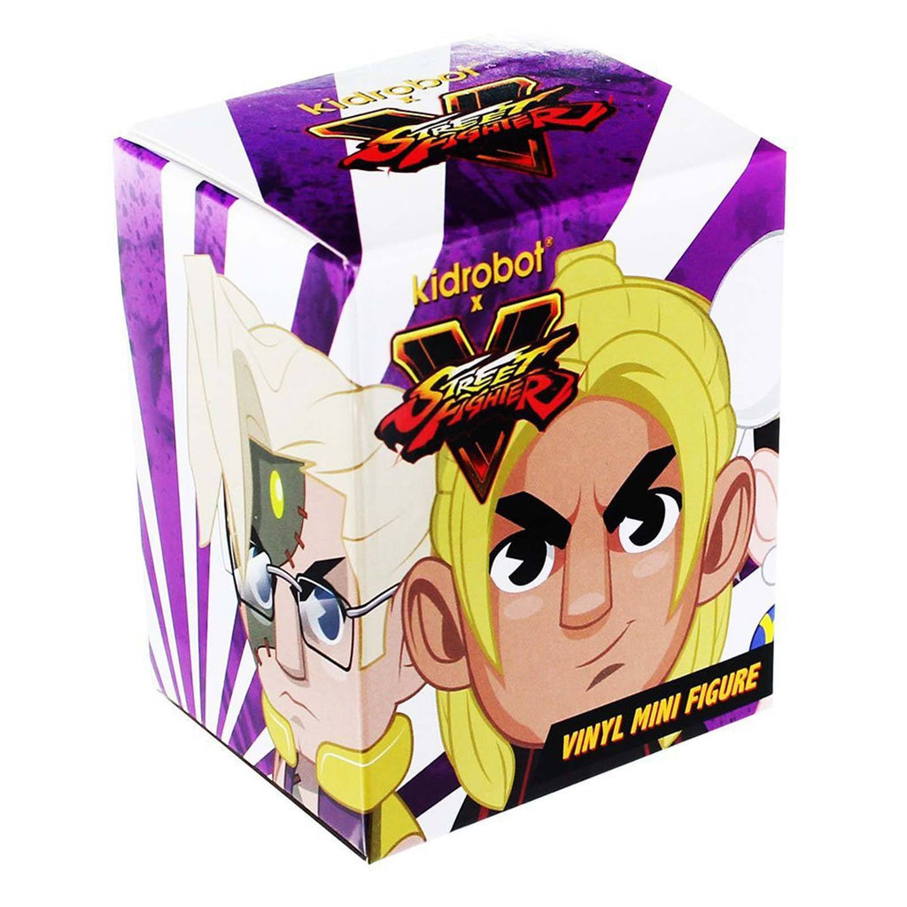 Kidrobot Street Fighter V Mini Series Blind Box Vinyl Figure