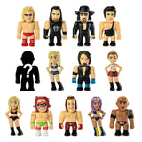 Kidrobot WWE Blind Box Mini Figure - Radar Toys