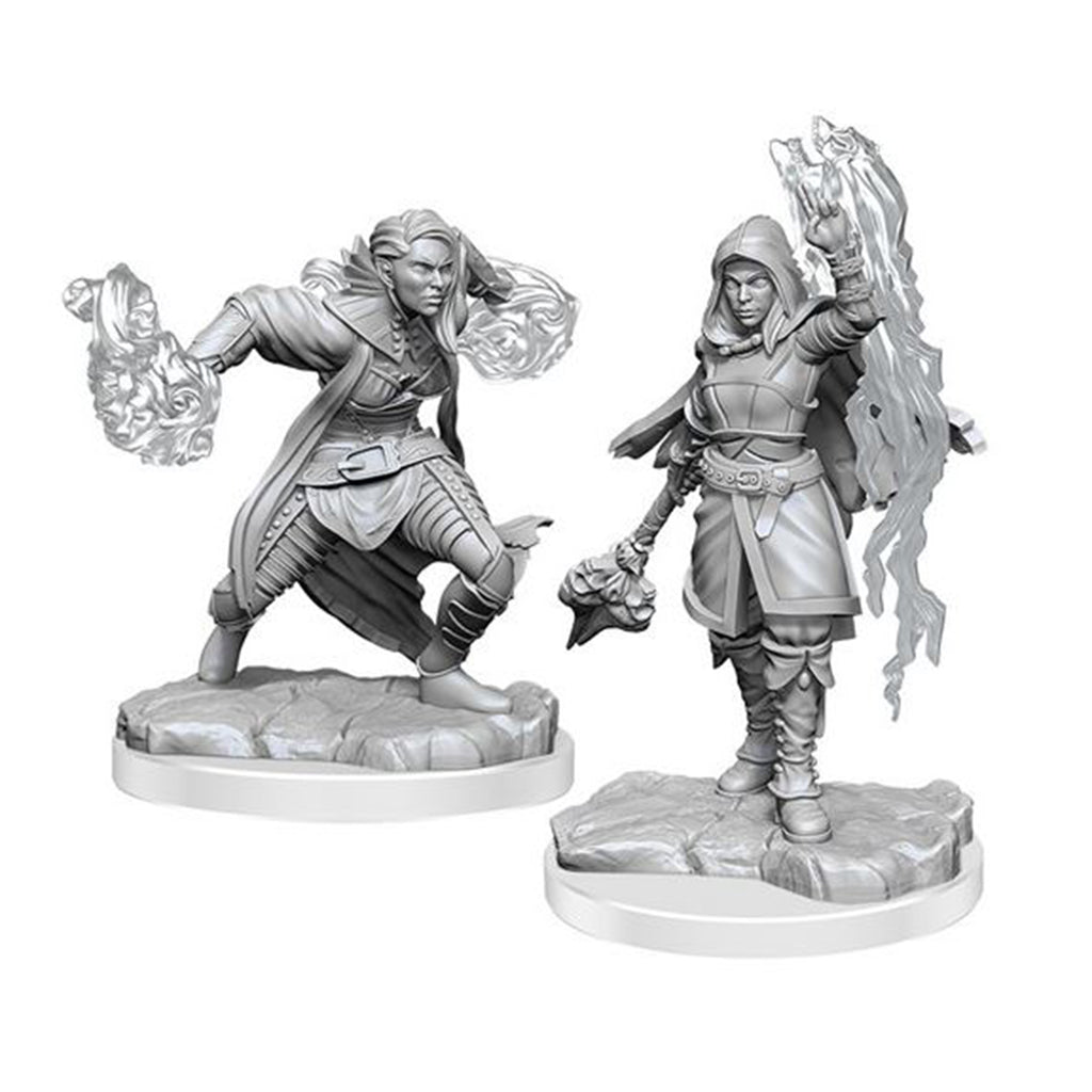 Dungeons and Dragons Half-Elf Warlock Nolzur's Marvelous Miniatures